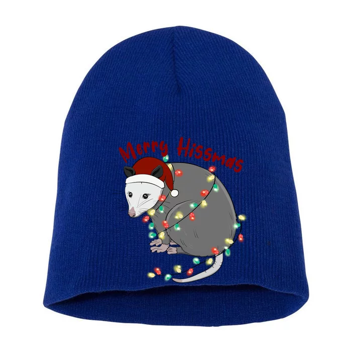 Funny Santa Mouse Merry Hissmas Claus Merry Xmas Team Santa Meaningful Gift Short Acrylic Beanie