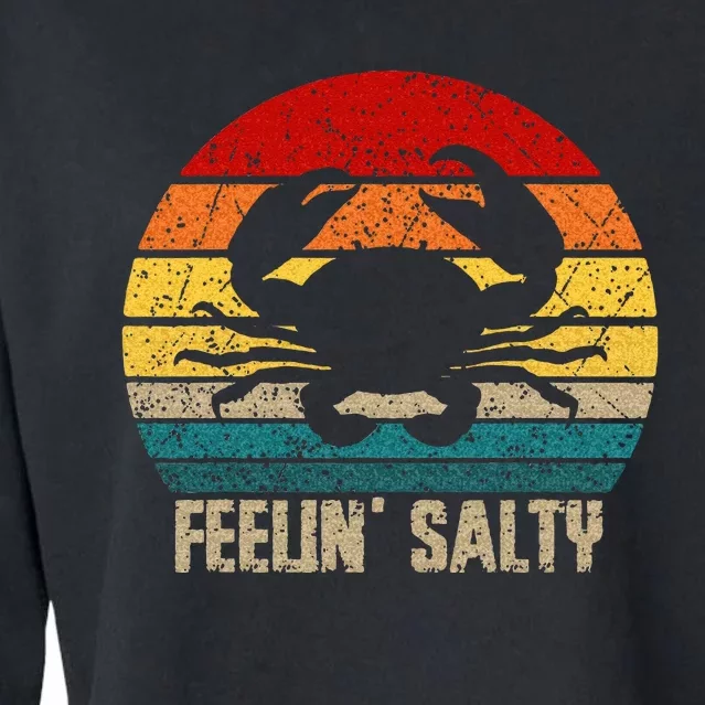 Feelin Salty Maryland Crab Sunset Graphic Cropped Pullover Crew