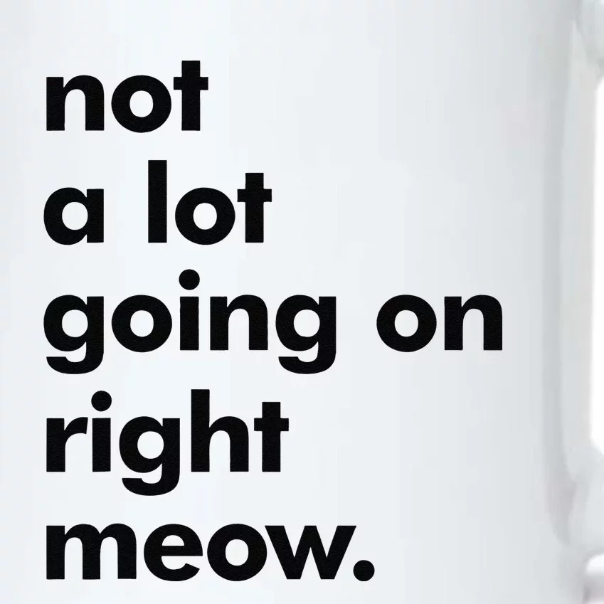 Funny Sarcastic Novelty Cat Not Much Going On Right Meow Black Color Changing Mug