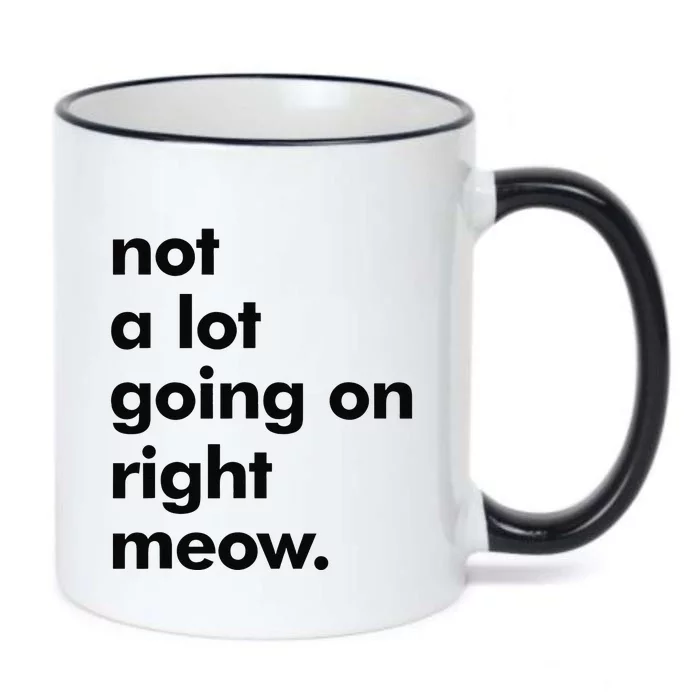 Funny Sarcastic Novelty Cat Not Much Going On Right Meow Black Color Changing Mug