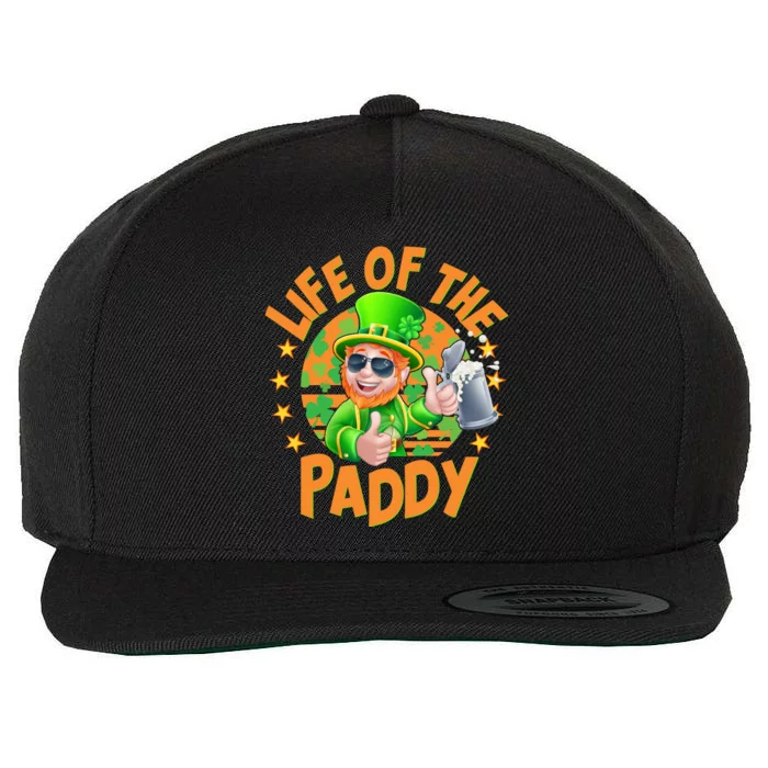 Funny St Patricks Day Life Of The Paddy Leprechaun Beer Wool Snapback Cap