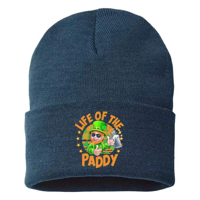 Funny St Patricks Day Life Of The Paddy Leprechaun Beer Sustainable Knit Beanie