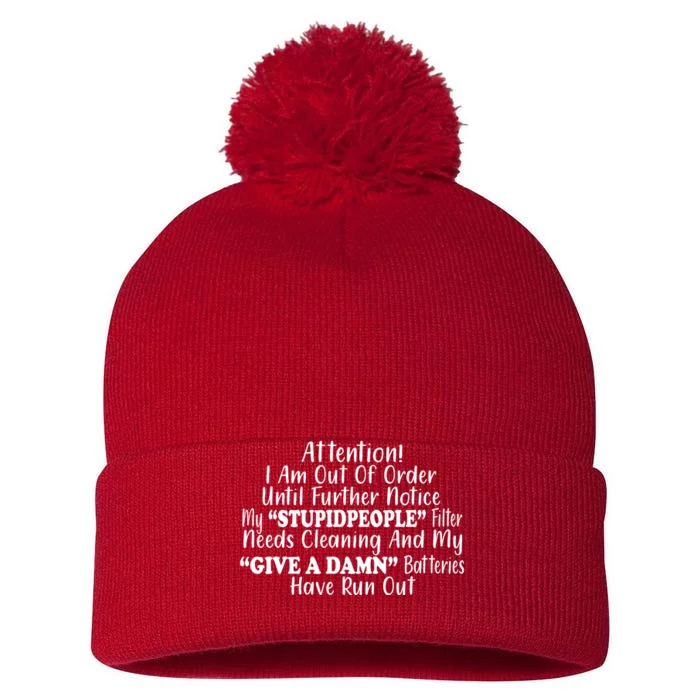 Funny Stupid People Filter Pom Pom 12in Knit Beanie