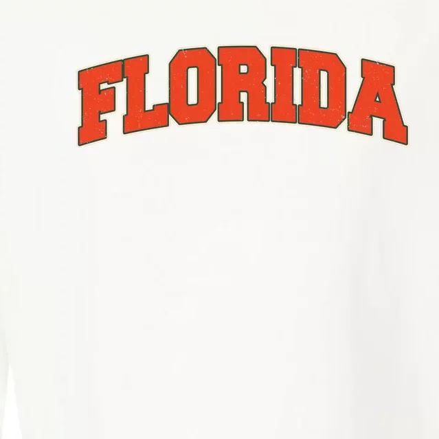 Florida State Sports Logo Cropped Pullover Crew