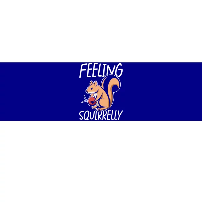 Feeling Squirrelly Squirrel Fun Gift Bumper Sticker