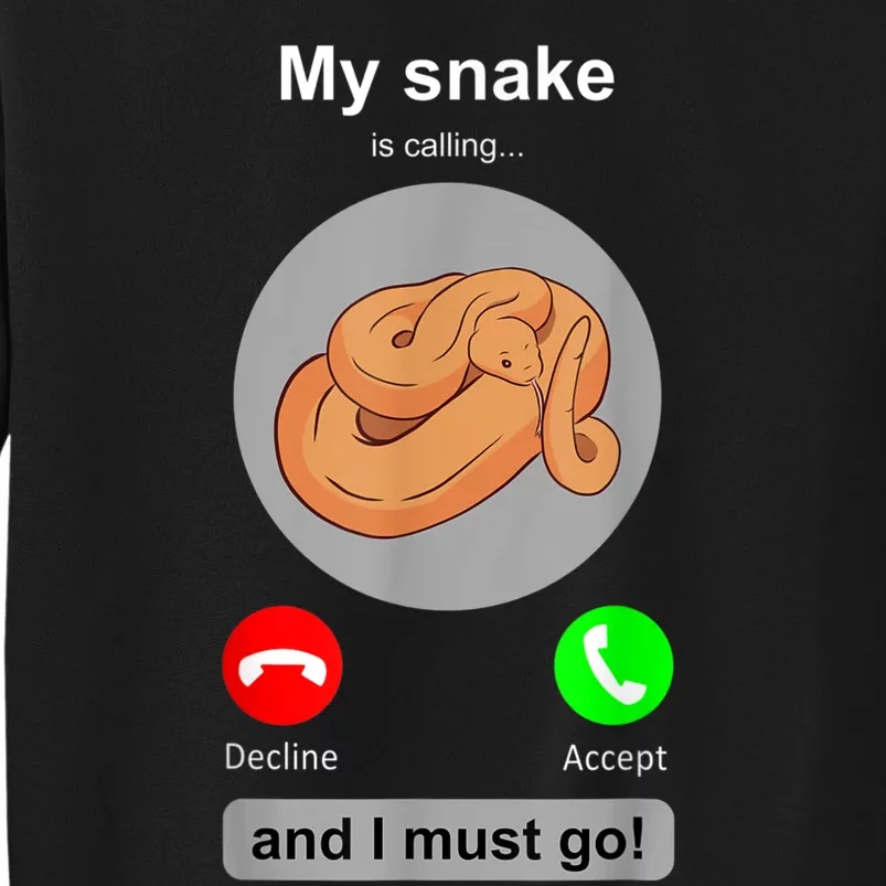 Funny Snake Snake Lover Snake Owner Collector Gift Tall Sweatshirt