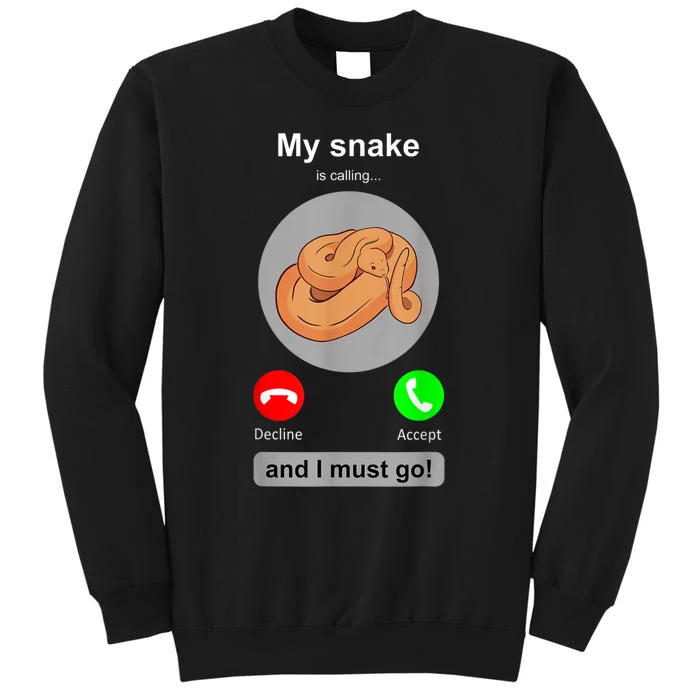 Funny Snake Snake Lover Snake Owner Collector Gift Tall Sweatshirt