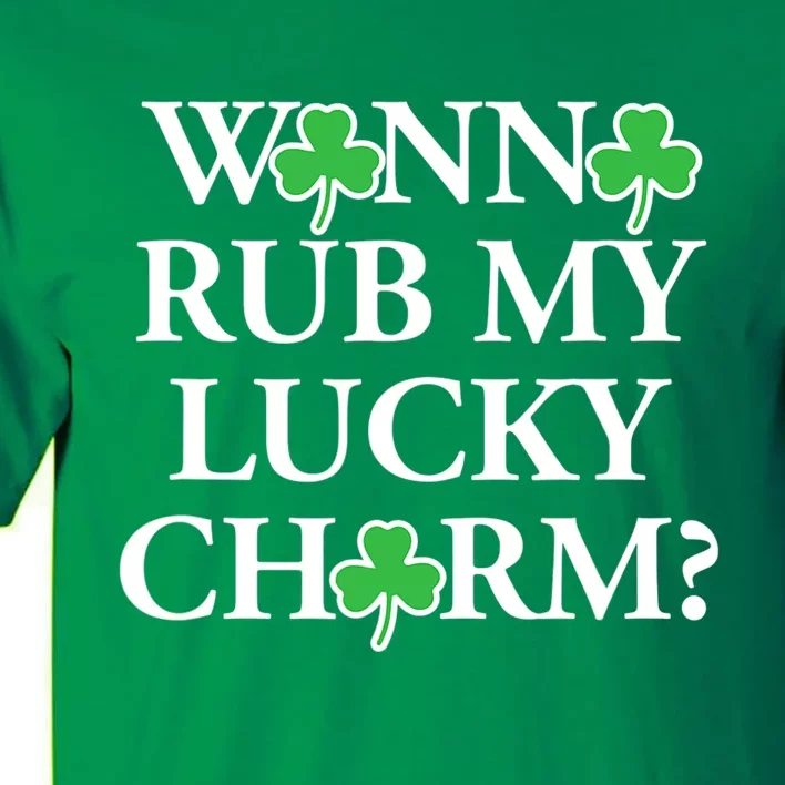 Funny Sexy St Patricks Day Clothing For Men Inappropriate Tall T-Shirt