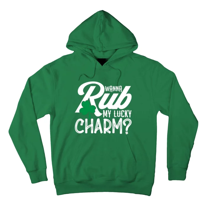 Funny Sexy St Patricks Day Clothing For Men Inappropriate Hoodie