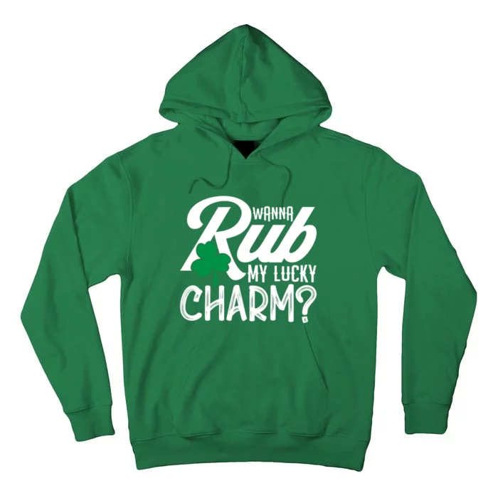 Funny Sexy St Patricks Day Clothing For Men Inappropriate Tall Hoodie