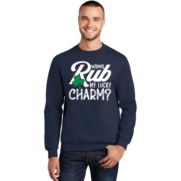 Funny Sexy St Patricks Day Clothing For Men Inappropriate Tall Sweatshirt