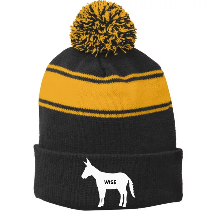 Funny Sarcastic Wise Donkey Lovers Stripe Pom Pom Beanie