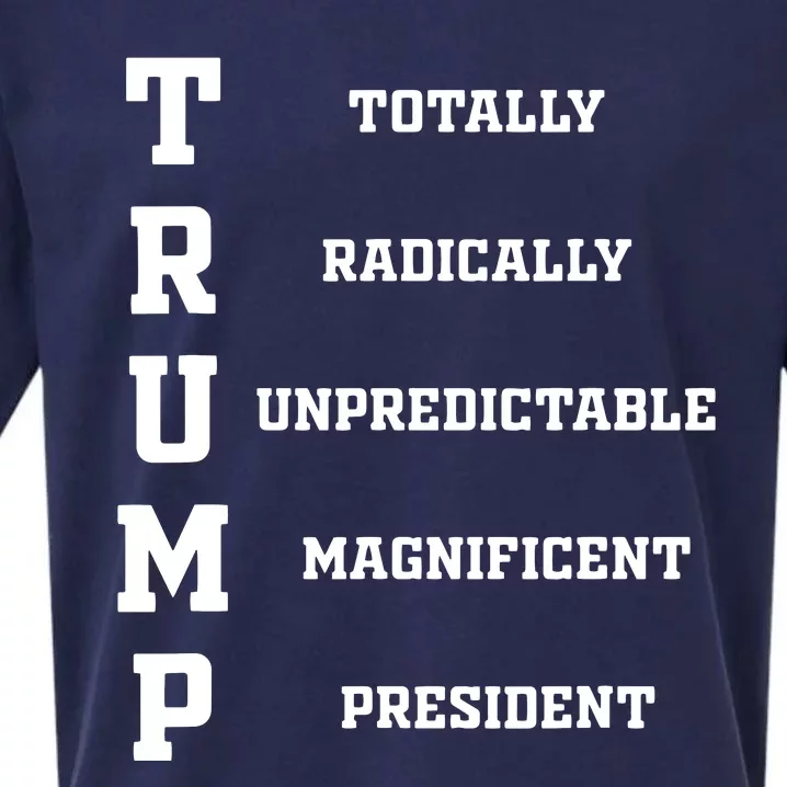 Funny Trump 2024 President Shirts 2024 Election Sueded Cloud Jersey T-Shirt