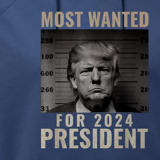 Funny Trump 2024 Most Wanted Mugshot For President Gift Performance Fleece Hoodie