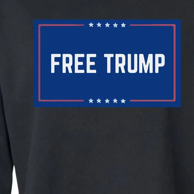 Free Trump 2024, Take America Cropped Pullover Crew