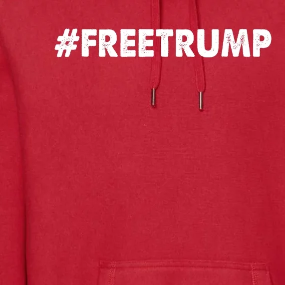 Free Trump 2024 Pro Donald Trump Premium Hoodie