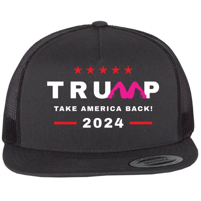 Free Trump 2024 Stormy Daniels Donald Trump Indictment Flat Bill Trucker Hat