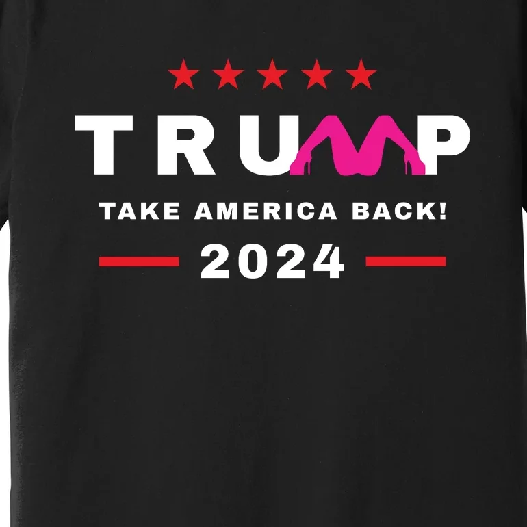 Free Trump 2024 Stormy Daniels Donald Trump Indictment Premium T-Shirt