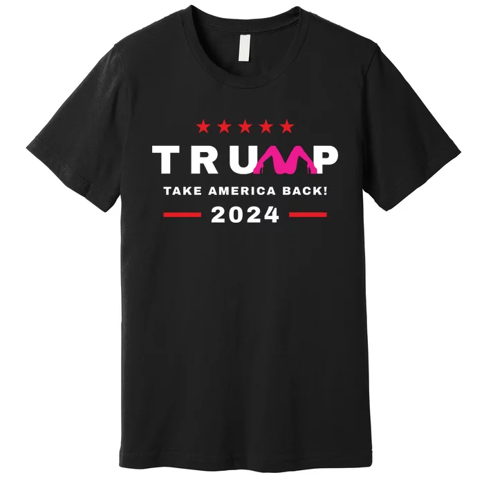 Free Trump 2024 Stormy Daniels Donald Trump Indictment Premium T-Shirt