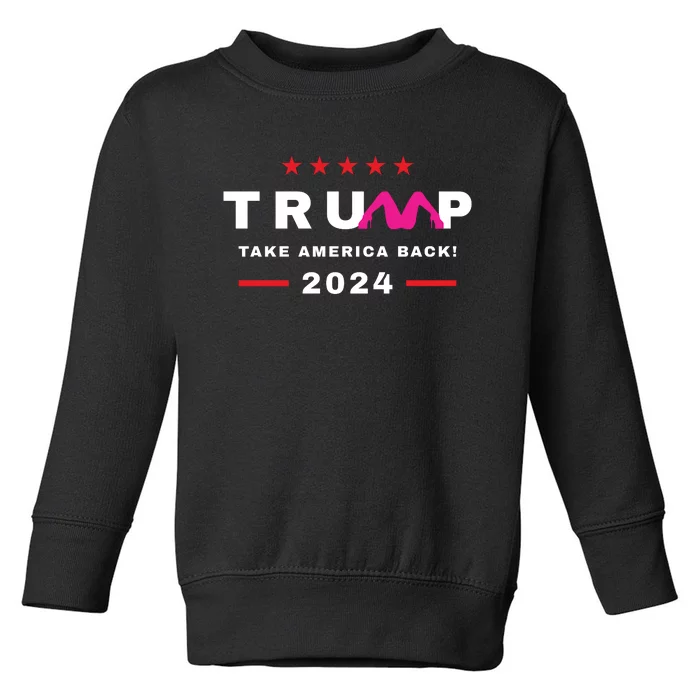 Free Trump 2024 Stormy Daniels Donald Trump Indictment Toddler Sweatshirt