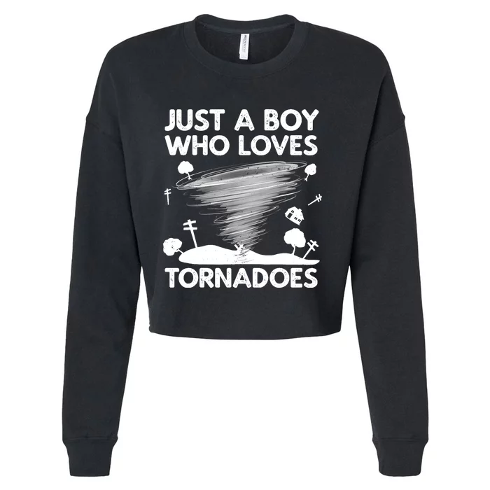 Funny Tornado Art For Boy Weather Storm Tornado Chaser Cropped Pullover Crew