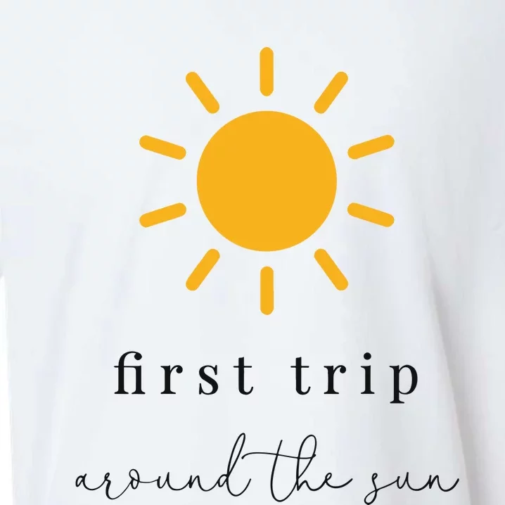 First Trip Around The Sun Sueded Cloud Jersey T-Shirt