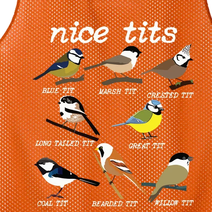 Funny Tit Birds Birdwatcher Mesh Reversible Basketball Jersey Tank