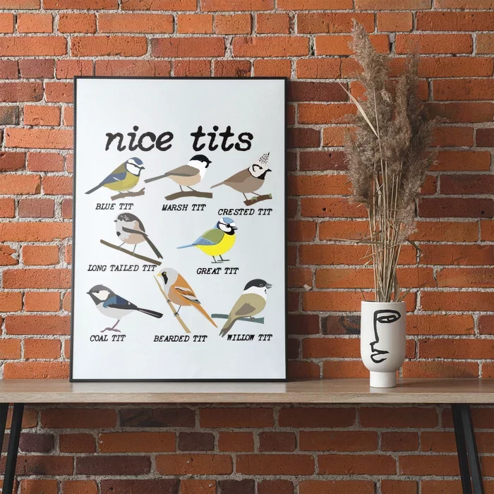 Funny Tit Birds Birdwatcher Poster