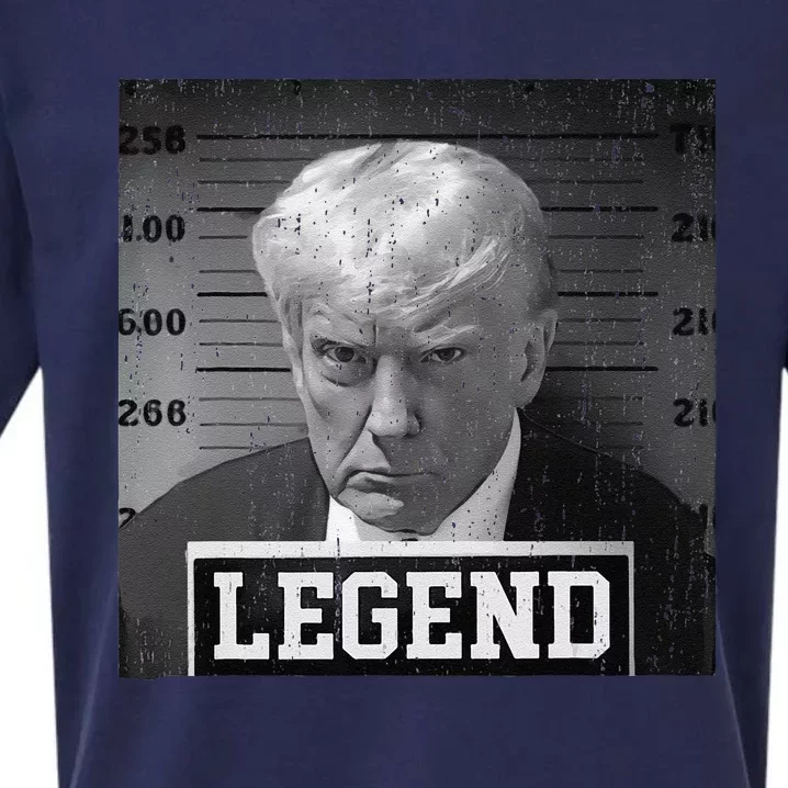 Funny The Booking Photo Of Donald Trump Cute Sueded Cloud Jersey T-Shirt