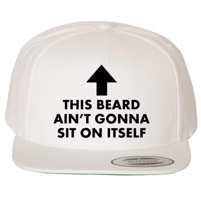 Funny This Beard Ain't Gonna Sit On Itself Gift Wool Snapback Cap