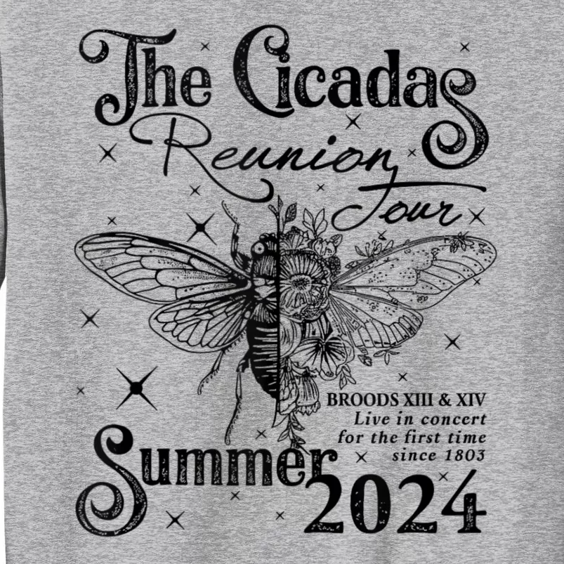 Funny The Cicadas Reunion Summer 2024 Tall Sweatshirt