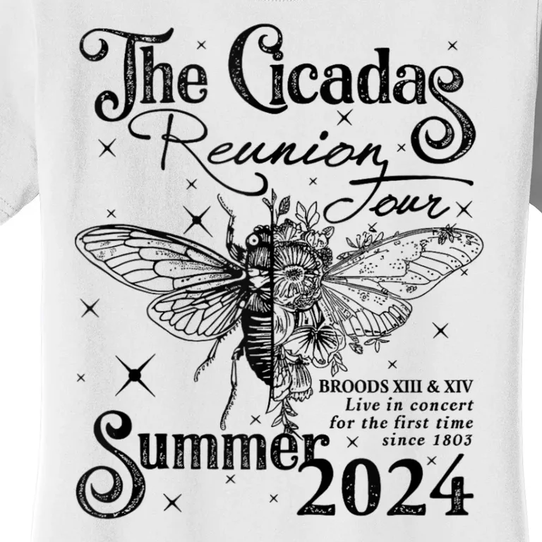 Funny The Cicadas Reunion Summer 2024 Women's T-Shirt