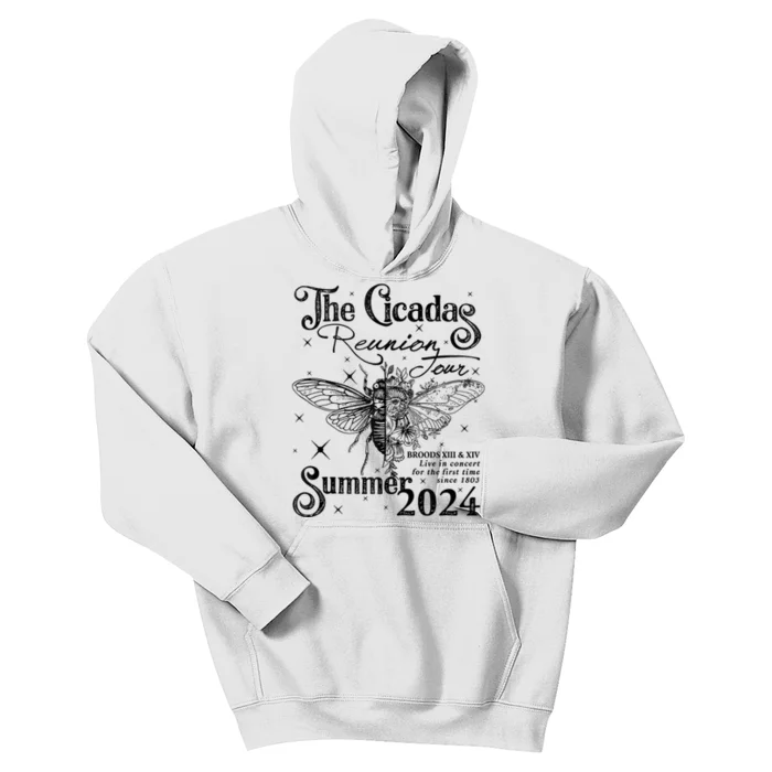 Funny The Cicadas Reunion Summer 2024 Kids Hoodie