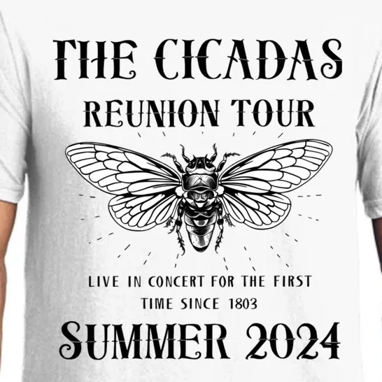 Funny The Cicadas Reunion Summer 2024 Pajama Set