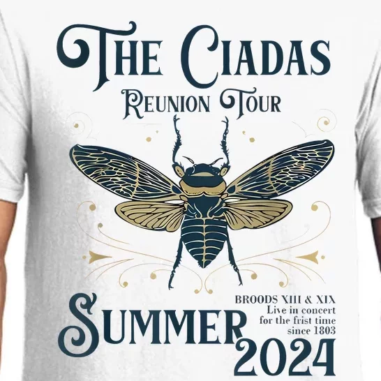 Funny The Cicadas Reunion Summer 2024 Pajama Set