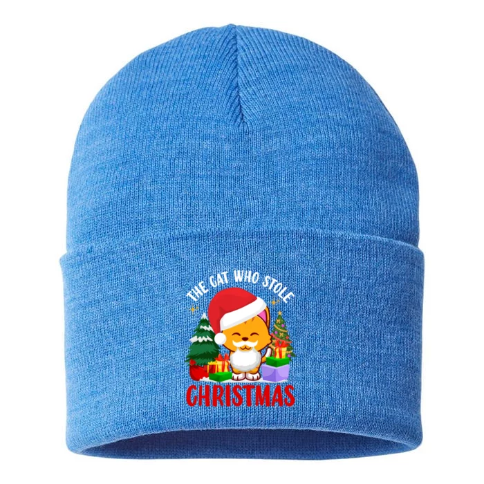 Funny The Cat Who Stole Christmas Cool Gift Sustainable Knit Beanie