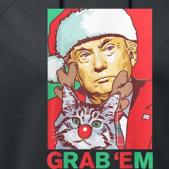 Funny Trump Cat Grab Em Vintage Retro Christmas Trump Gift Performance Fleece Hoodie