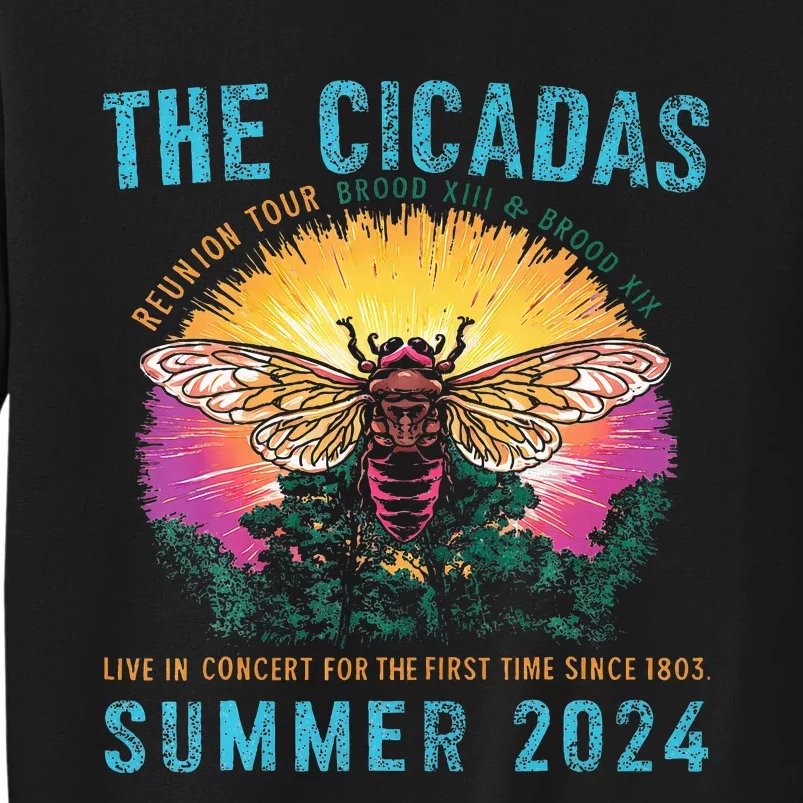 Funny The Cicadas Reunion Summer 2024 Sweatshirt