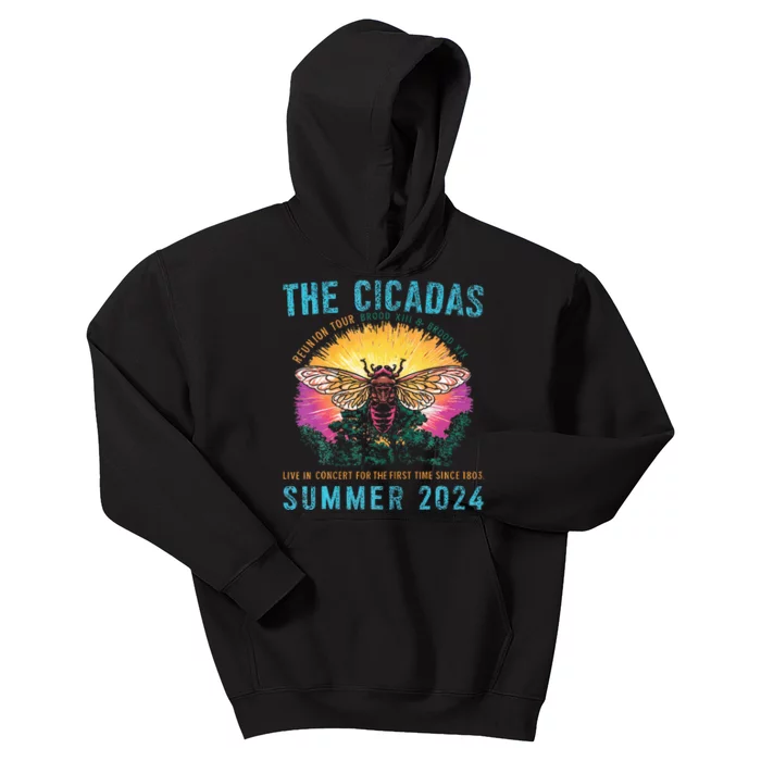 Funny The Cicadas Reunion Summer 2024 Kids Hoodie