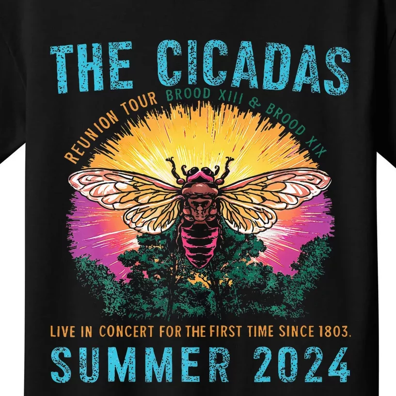 Funny The Cicadas Reunion Summer 2024 Kids T-Shirt