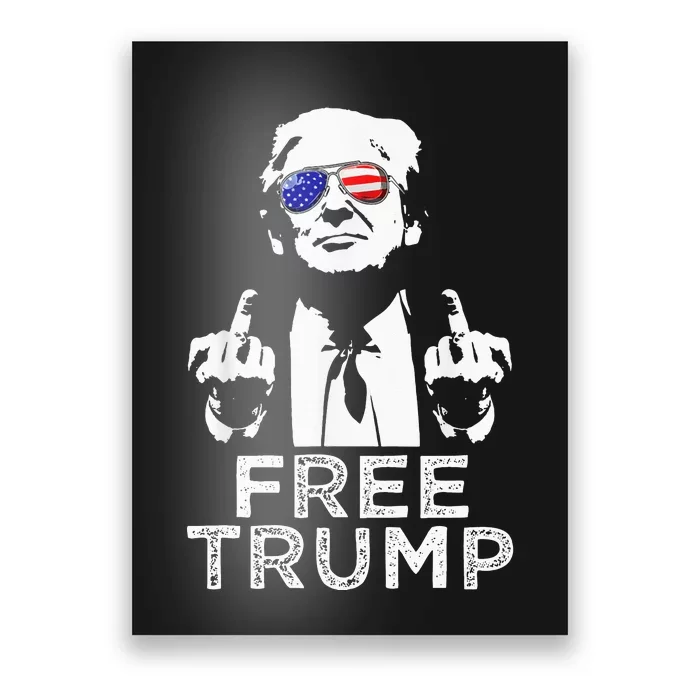 Free Trump Free Donald Trump 2024 Pullover Hoodie Poster