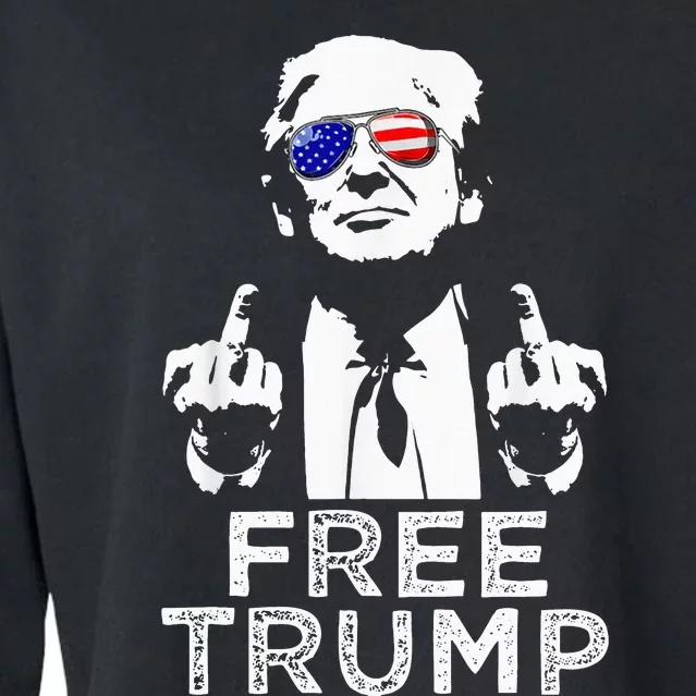 Free Trump Free Donald Trump 2024 Pullover Hoodie Cropped Pullover Crew