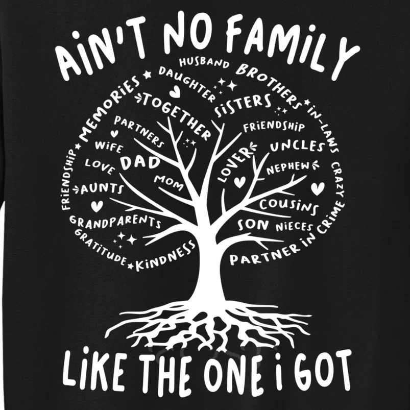 Funny Tree Family Reunion 2024 Gift Sweatshirt