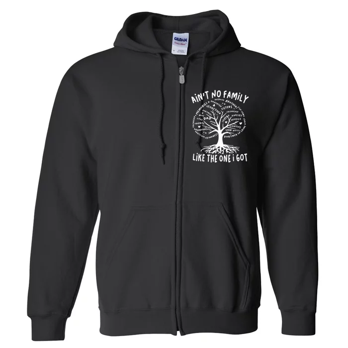 Funny Tree Family Reunion 2024 Gift Full Zip Hoodie