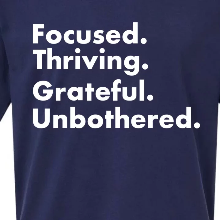 Focused Thriving Grateful Unbothered Funny Cute Gift Sueded Cloud Jersey T-Shirt