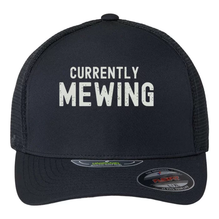 Funny That Go Hard Currently Mewing Flexfit Unipanel Trucker Cap