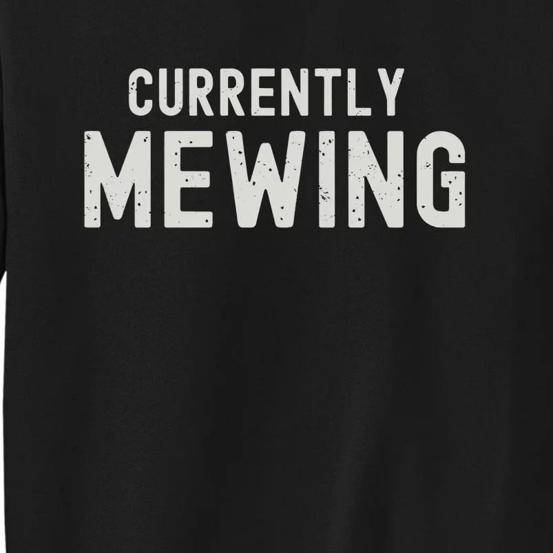 Funny That Go Hard Currently Mewing Sweatshirt