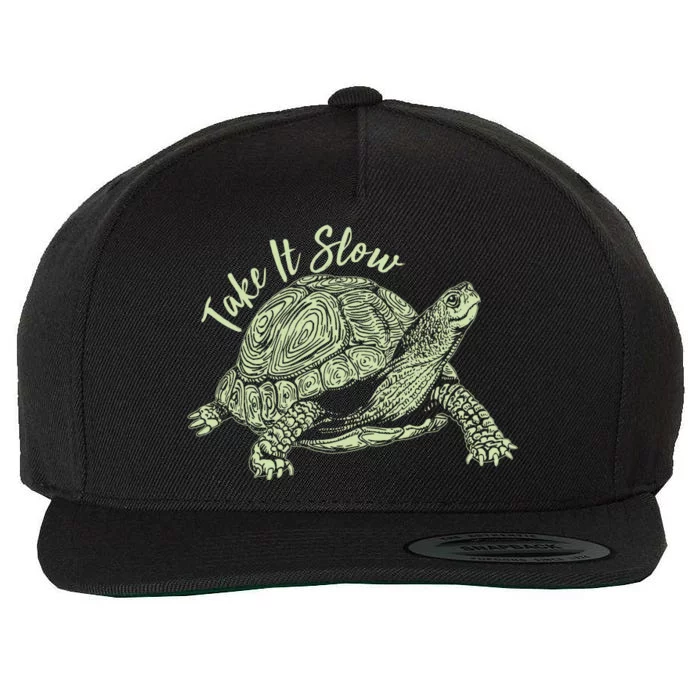 Funny Take It Slow Turtle Tortoise Wool Snapback Cap