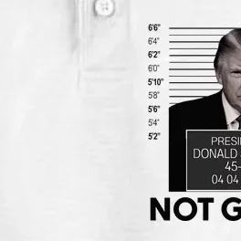 Funny Trump Mugshot Not Guilty Classic . Dry Zone Grid Performance Polo