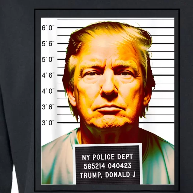 Funny Trump Mugshot Parody AI DC Georgia NYC Indictment Cropped Pullover Crew